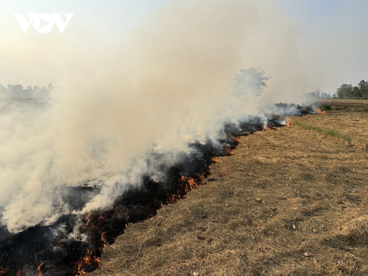 can tho nang cap canh bao chay rung len cap nguy hiem hinh anh 3