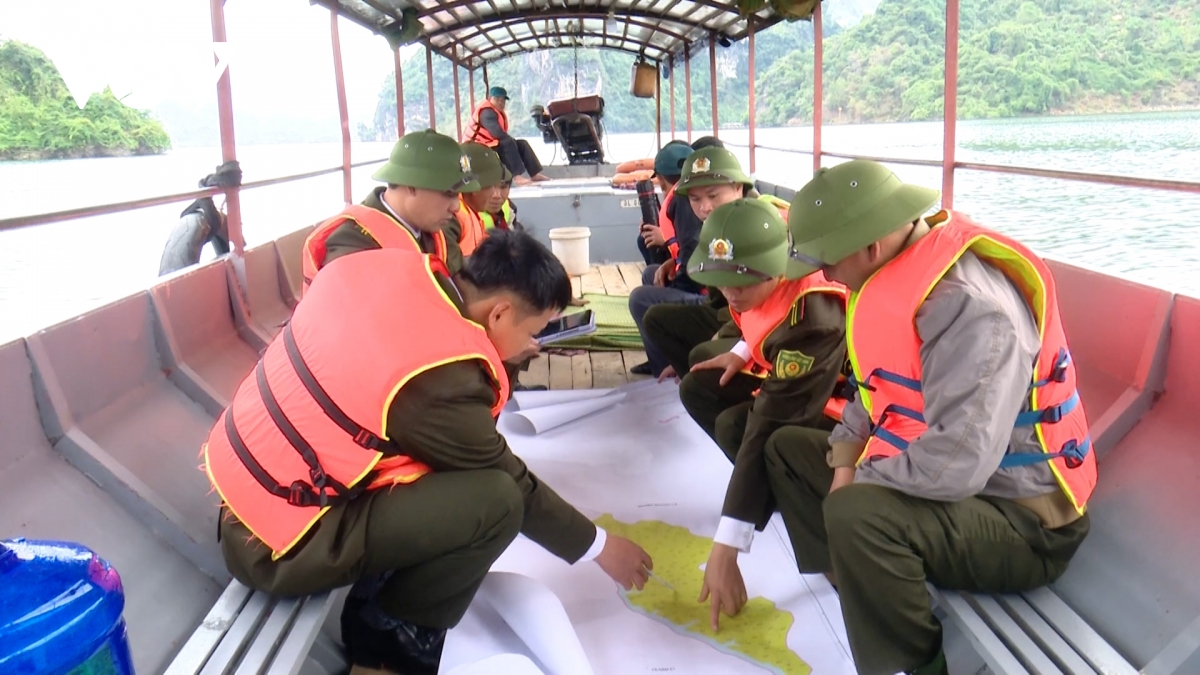  canh lua giu rung mua hanh kho hinh anh 3