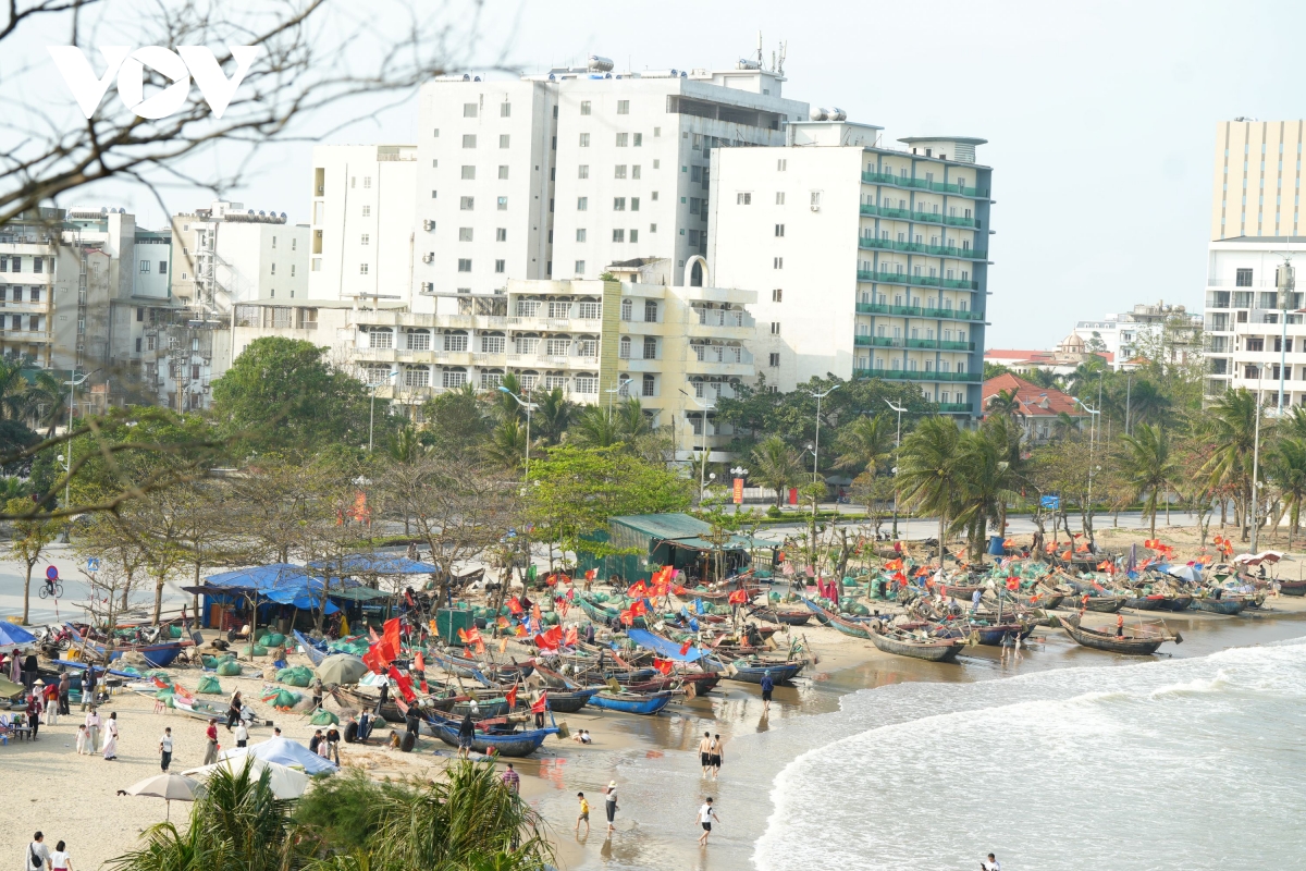 sam son san sang but toc mua du lich 2026 voi khat vong ruc ro hinh anh 1