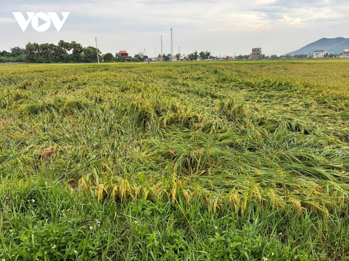 dong loc kem theo mua lon gay thiet hai tai san nguoi dan o thanh hoa hinh anh 7