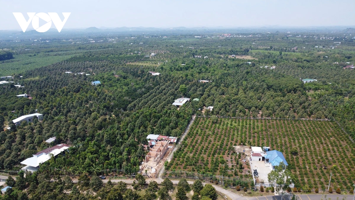 Dong nai lap 10 phuong moi, buoc da len thanh pho truc thuoc trung uong hinh anh 5