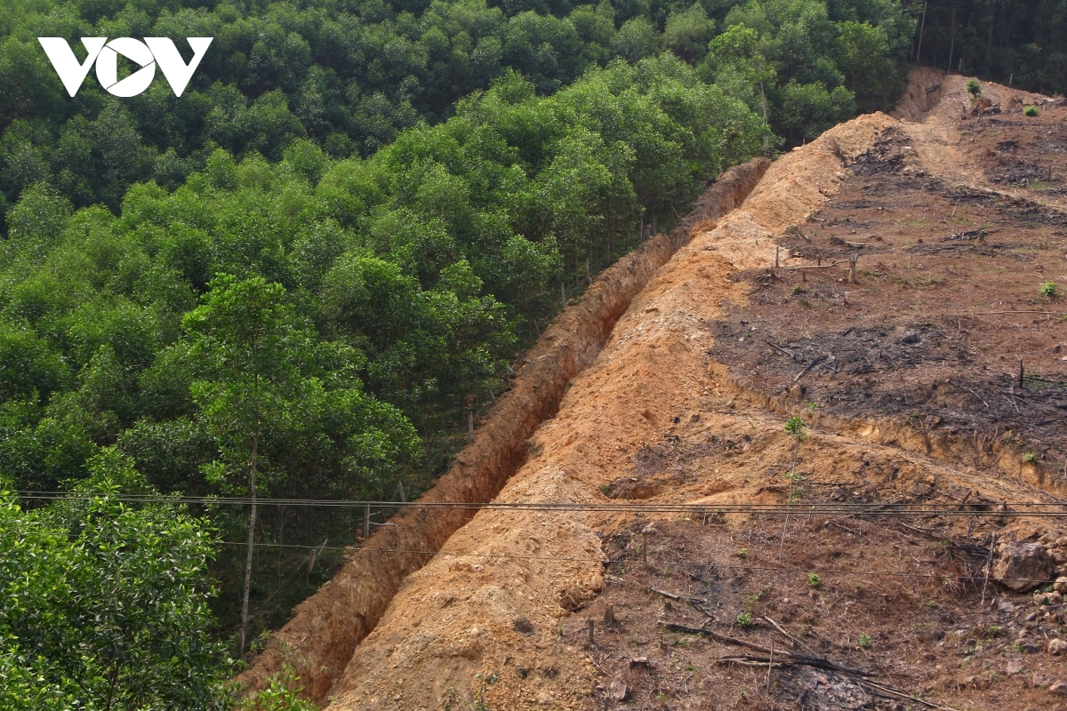 lap chot tren cac loi di, ngan nguoi dan dua moi lua vao rung tai quang tri hinh anh 3