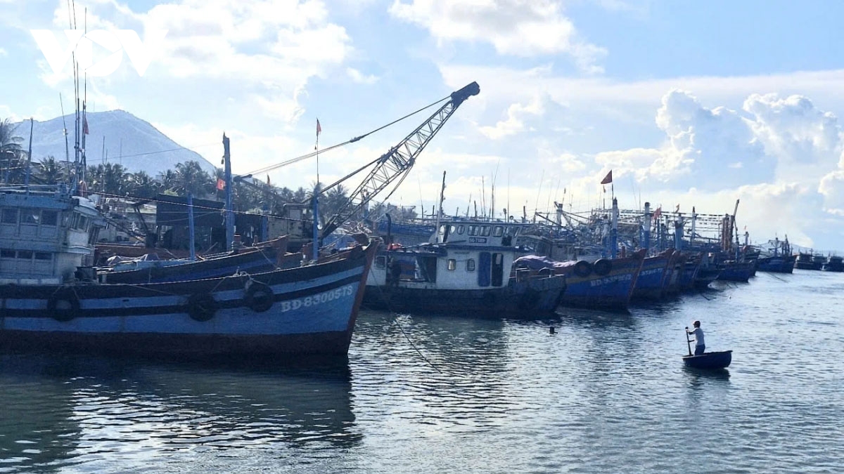 gia lai chi hon 212 ty ho tro ngu dan xa ban tau, chuyen doi nghe hinh anh 2