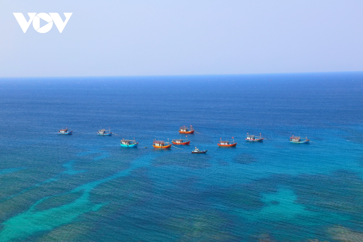 ky uc hoang sa va tieng goi cha ong hinh anh 8