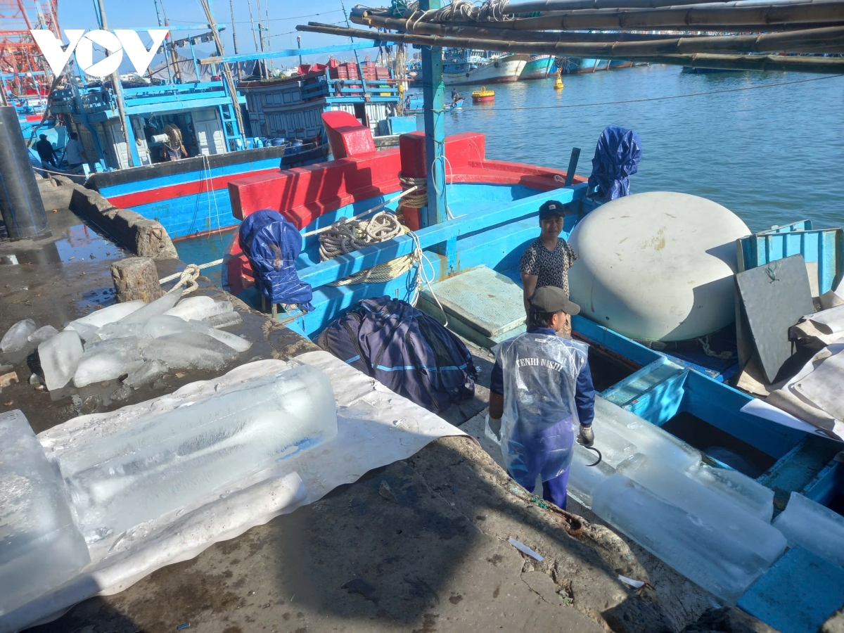 khanh hoa mo huong nuoi bien, phat trien nghe ca ben vung hinh anh 4