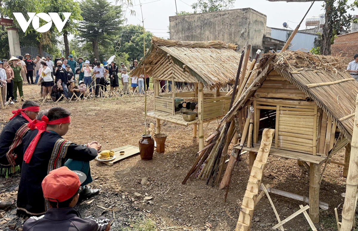 rain-praying ritual of ede people revived in central highlands picture 1