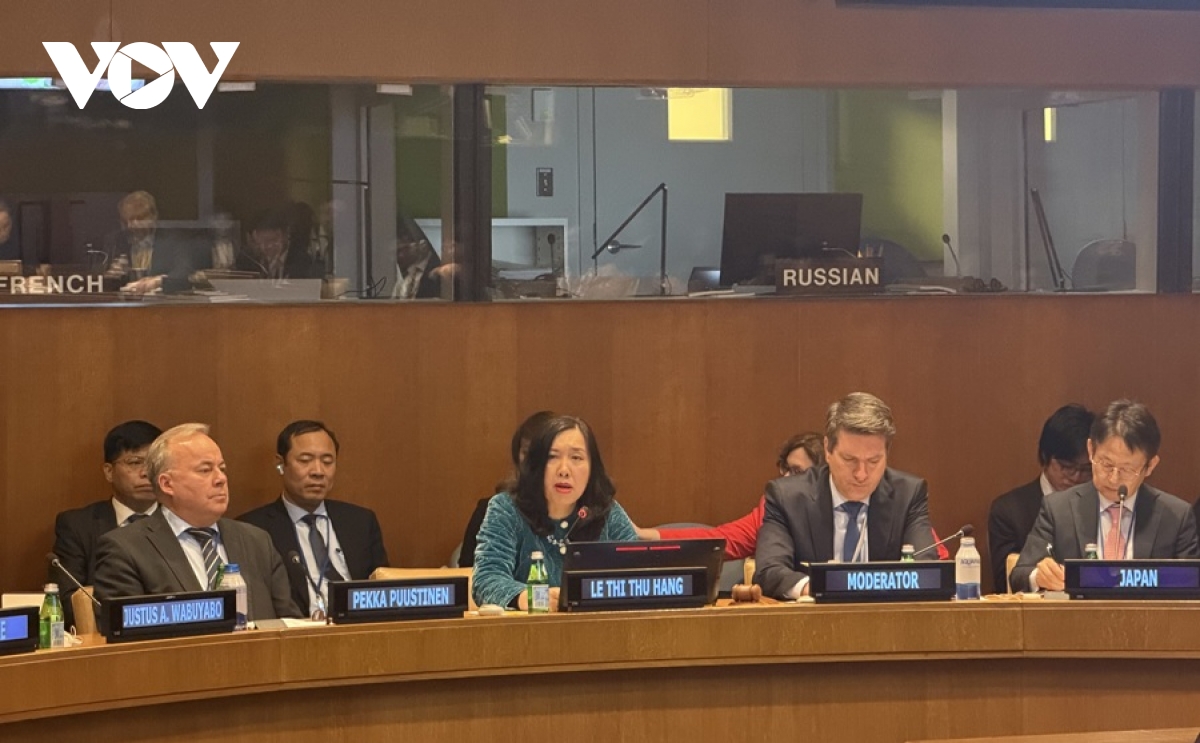 viet nam chu tri toa dam ve su dung hoa binh nang luong hat nhan hinh anh 1