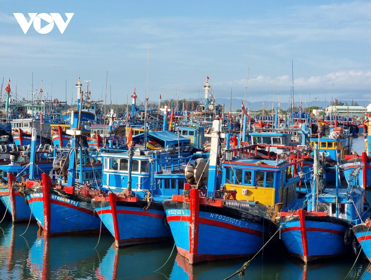 khanh hoa mo huong nuoi bien, phat trien nghe ca ben vung hinh anh 5
