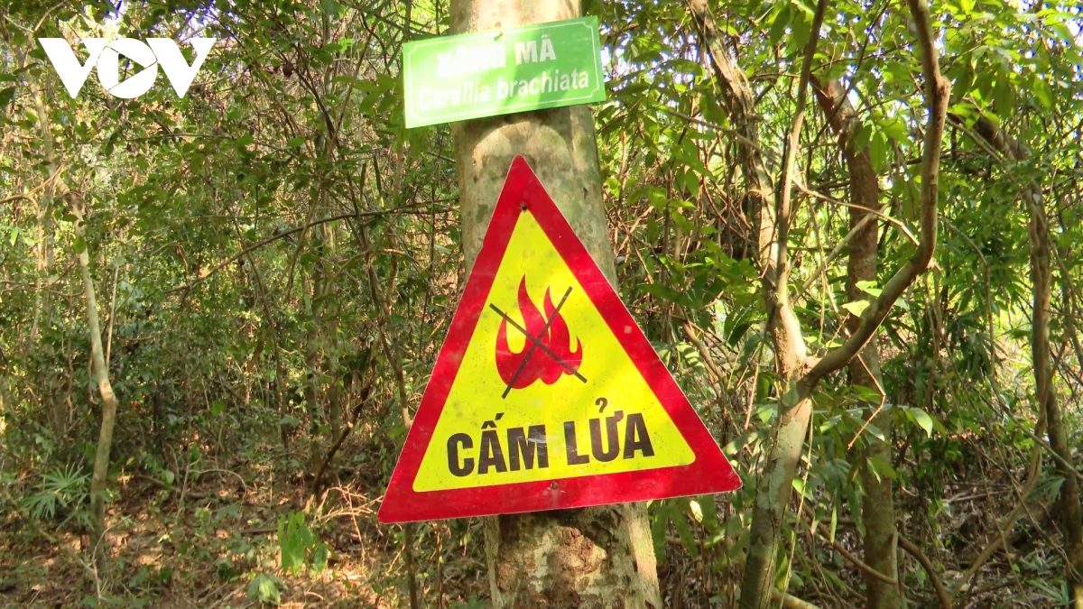 lap chot tren cac loi di, ngan nguoi dan dua moi lua vao rung tai quang tri hinh anh 1