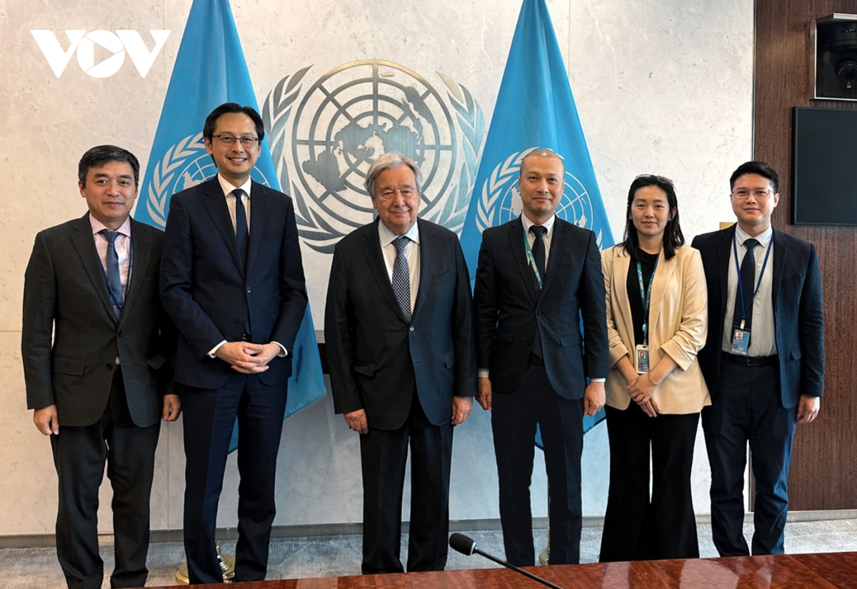 lien hop quoc ung ho viet nam dam nhiem chu tich npt hinh anh 2