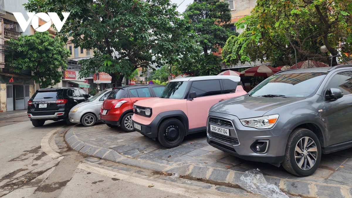 nhan nhan long duong, via he ngang nhien bi lan chiem du dang co lenh thanh tra hinh anh 2