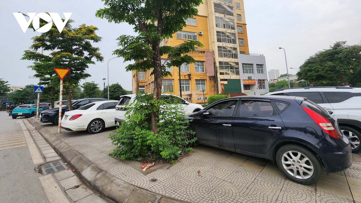 nhan nhan long duong, via he ngang nhien bi lan chiem du dang co lenh thanh tra hinh anh 7