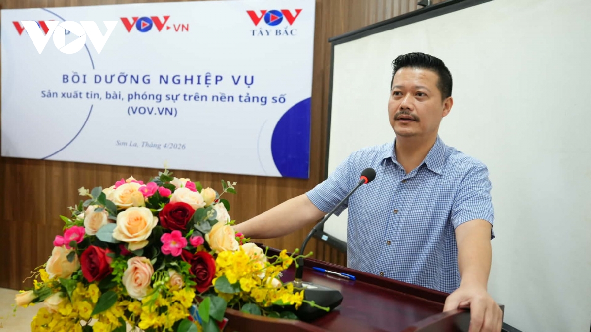 bao Dien tu tnvn trao doi nghiep vu voi vov tay bac hinh anh 3