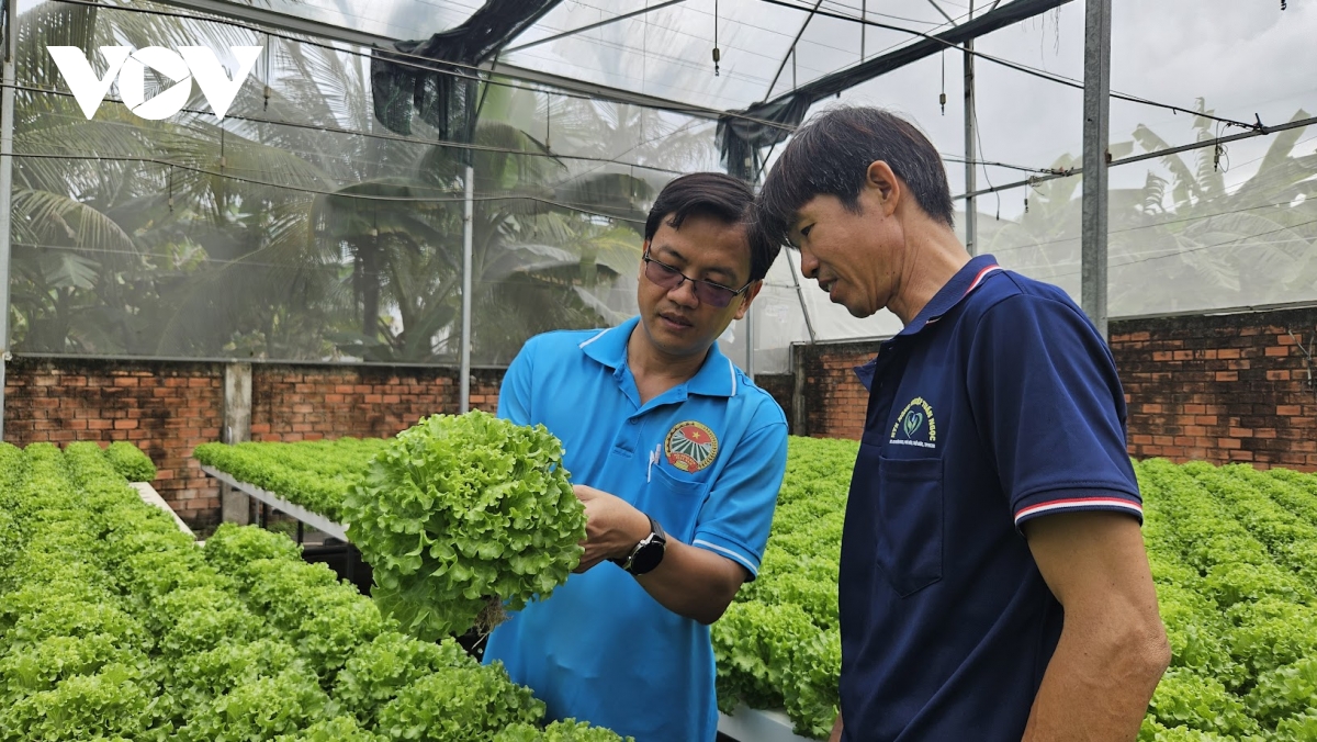 gop y du thao Dai hoi ix hoi nong dan can dot pha lien ket, tin dung va nong dan hinh anh 1