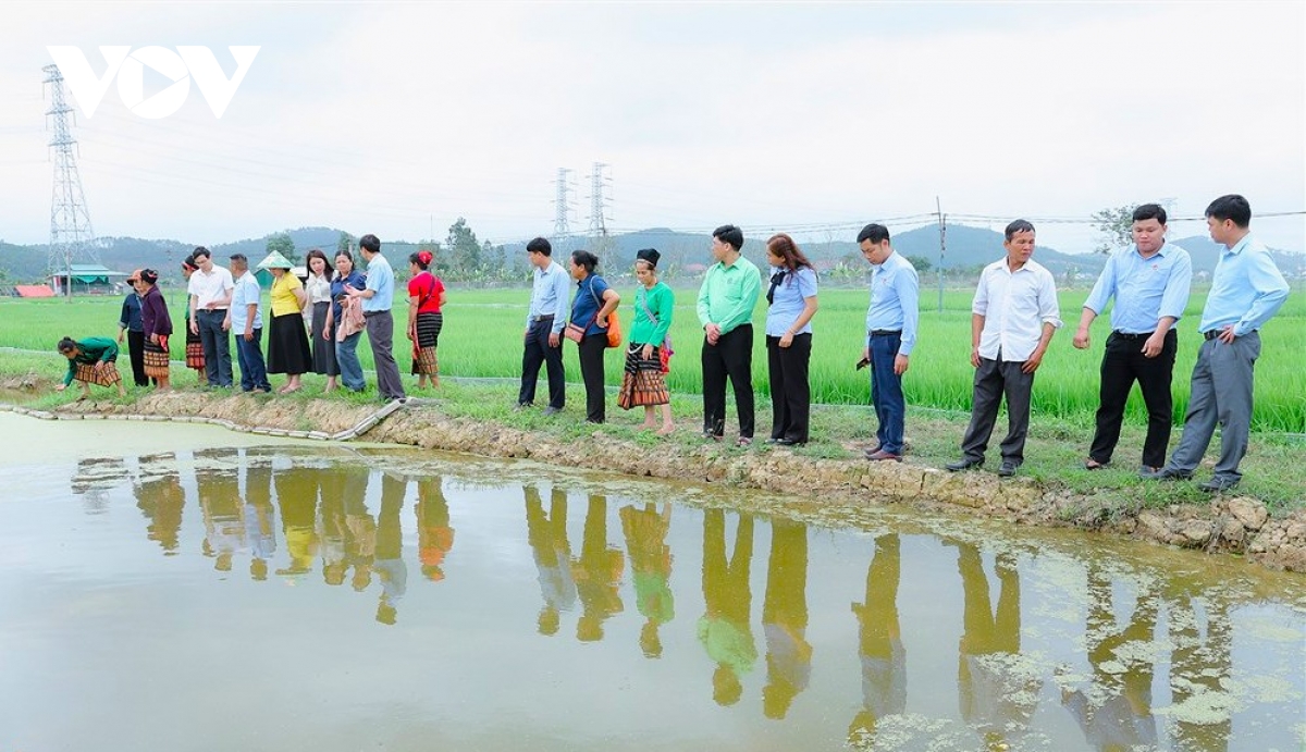 Dua nghi quyet cua Dang vao cuoc song o mien nui nghe an hinh anh 1