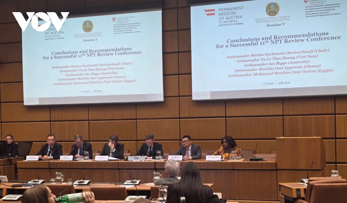 viet nam dong gop tich cuc tai hoi thao ve hiep uoc khong pho bien vu khi hat nhan hinh anh 2