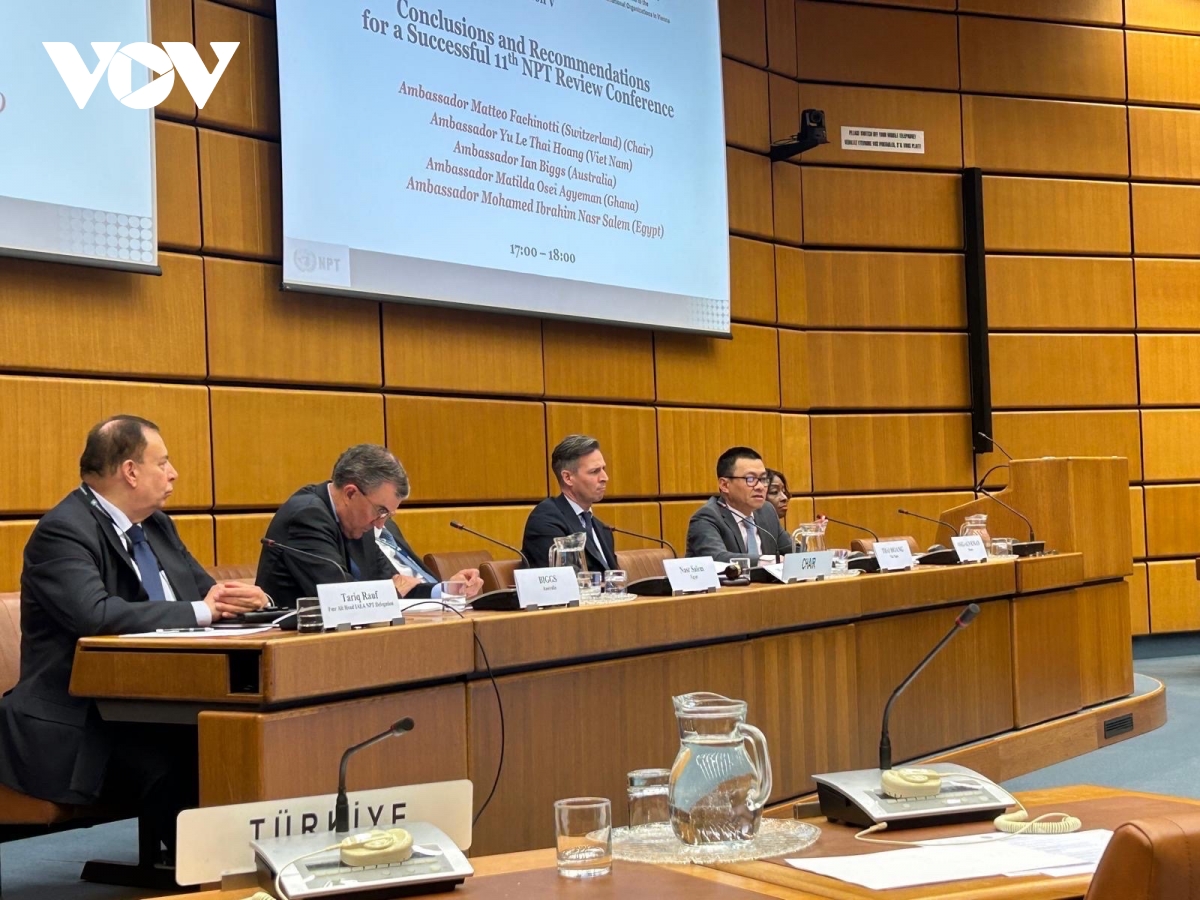 viet nam dong gop tich cuc tai hoi thao ve hiep uoc khong pho bien vu khi hat nhan hinh anh 1