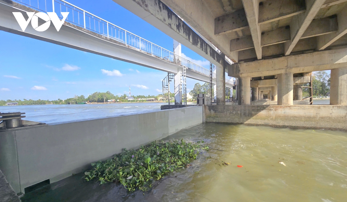 an ninh nguon nuoc o Dbscl can su dan dat cua chinh phu, dong thuan cua xa hoi hinh anh 6