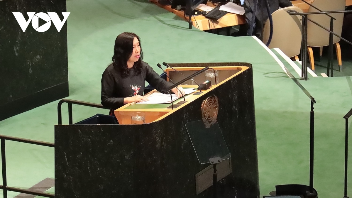 viet nam lam chu tich hoi nghi kiem diem hiep uoc khong pho bien vu khi hat nhan hinh anh 2