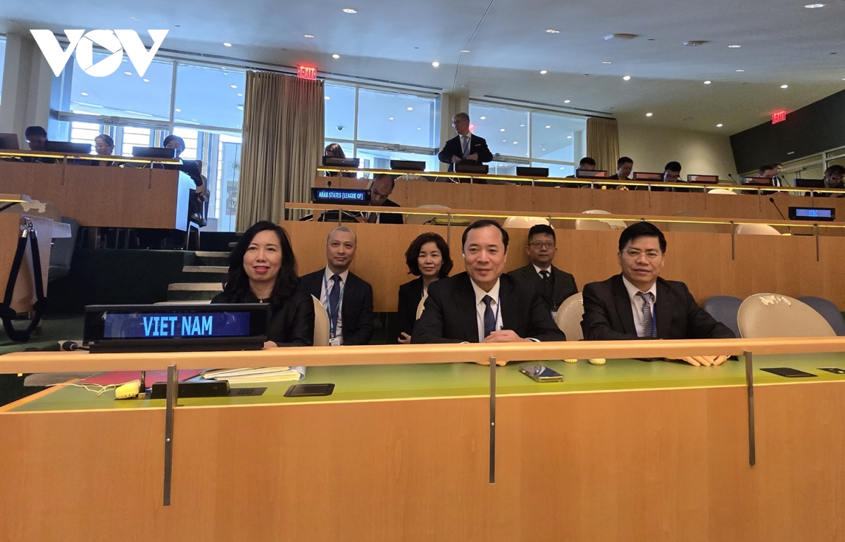 viet nam lam chu tich hoi nghi kiem diem hiep uoc khong pho bien vu khi hat nhan hinh anh 3