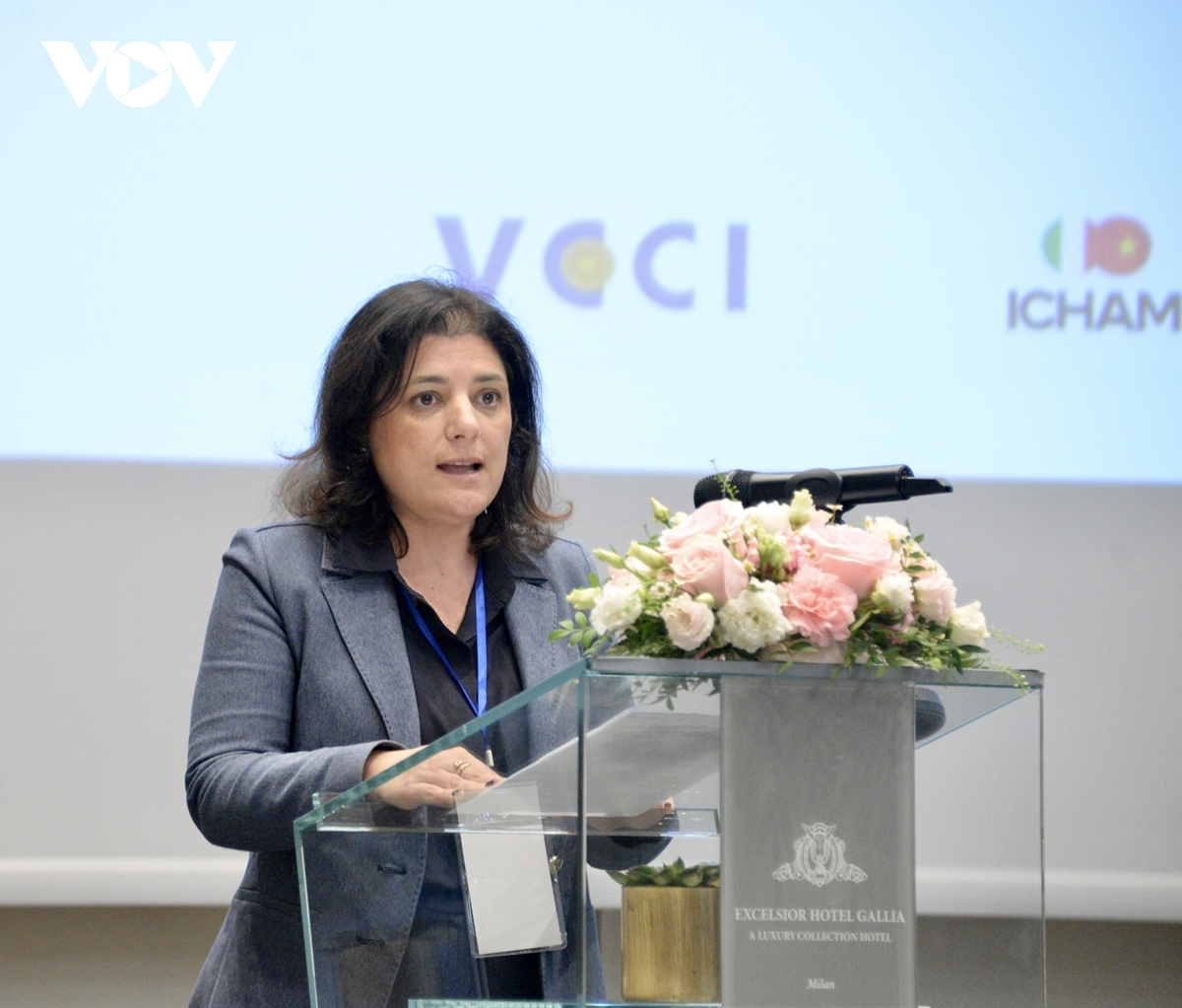 chu tich quoc hoi chuyen tinh than hop tac viet nam - italy thanh ket qua cu the hinh anh 1