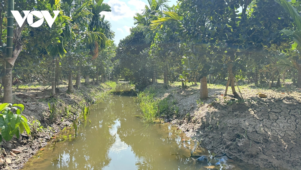 nguon nuoc Dong bang song cuu long truoc ap luc gia tang bai 1 hinh anh 2