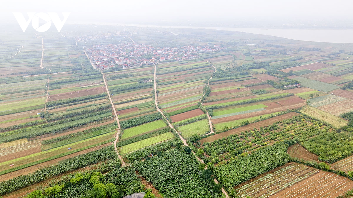 phuc hoi va phat huy gia tri di tich mieu - Den thuy than xa dao minh chau, ha noi hinh anh 1