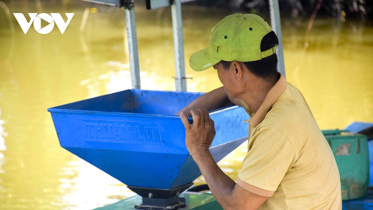 hoi sinh may cha gao tren dong song que hinh anh 1
