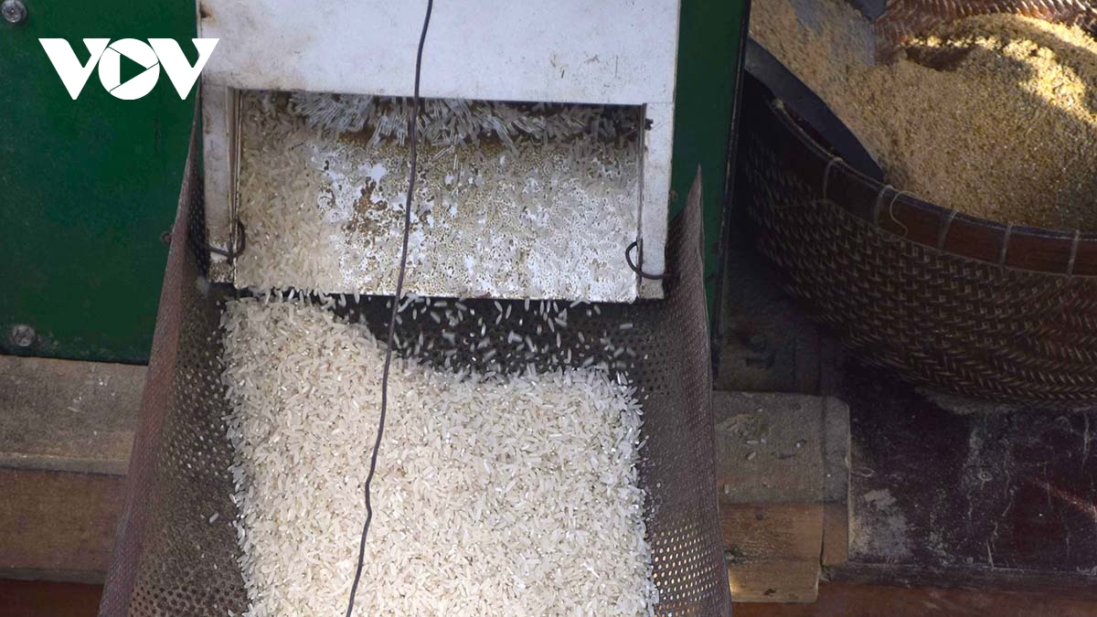 hoi sinh may cha gao tren dong song que hinh anh 4