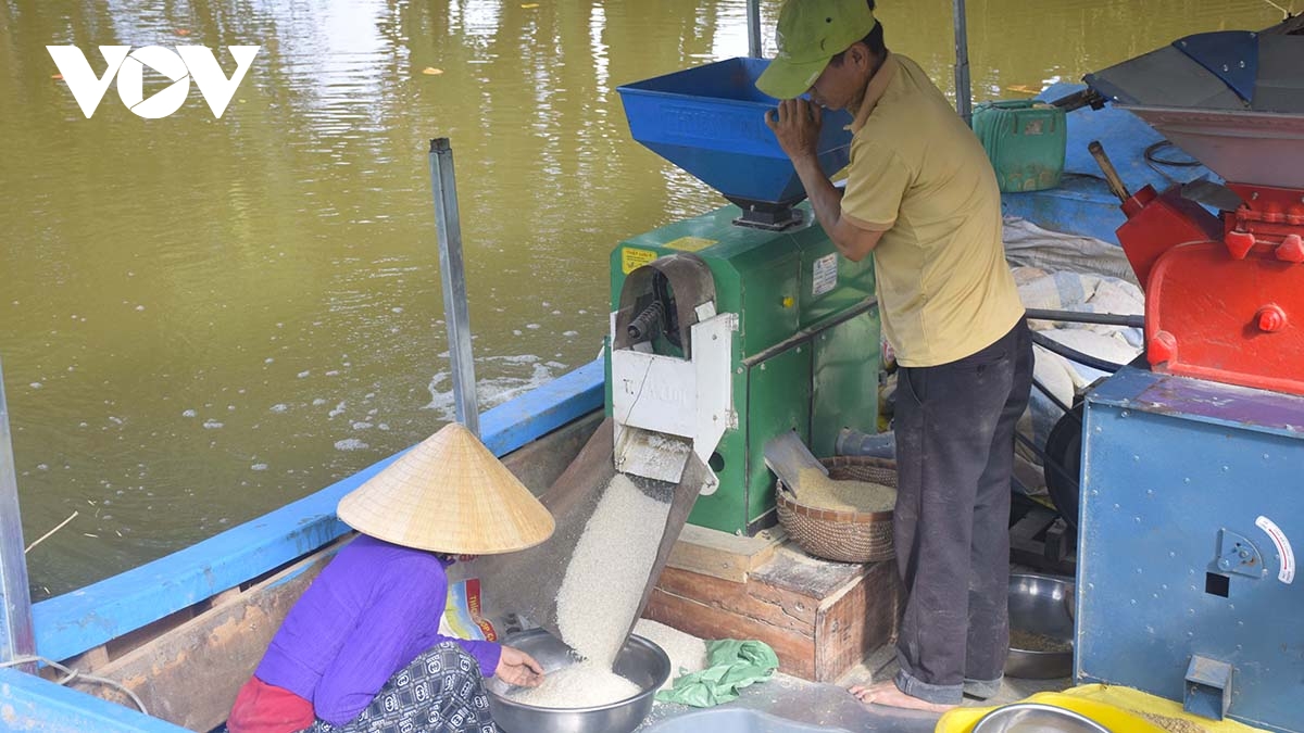 hoi sinh may cha gao tren dong song que hinh anh 2