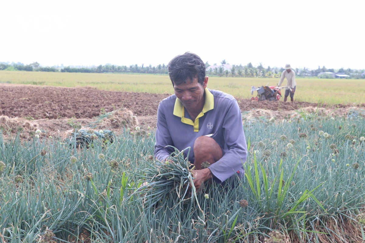 Chính sách tiếp sức đồng bào Khmer vươn lên