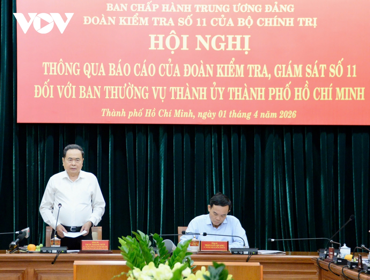 thong qua bao cao kiem tra, giam sat doi voi ban thuong vu thanh uy tp ho chi minh hinh anh 3