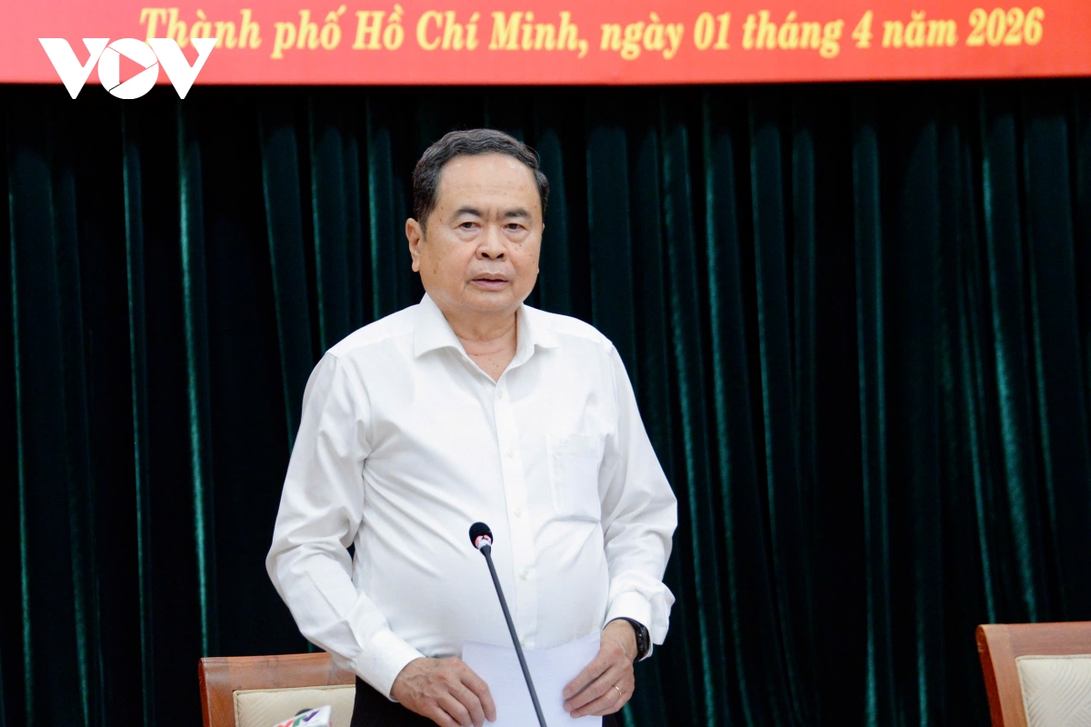 thong qua bao cao kiem tra, giam sat doi voi ban thuong vu thanh uy tp ho chi minh hinh anh 2