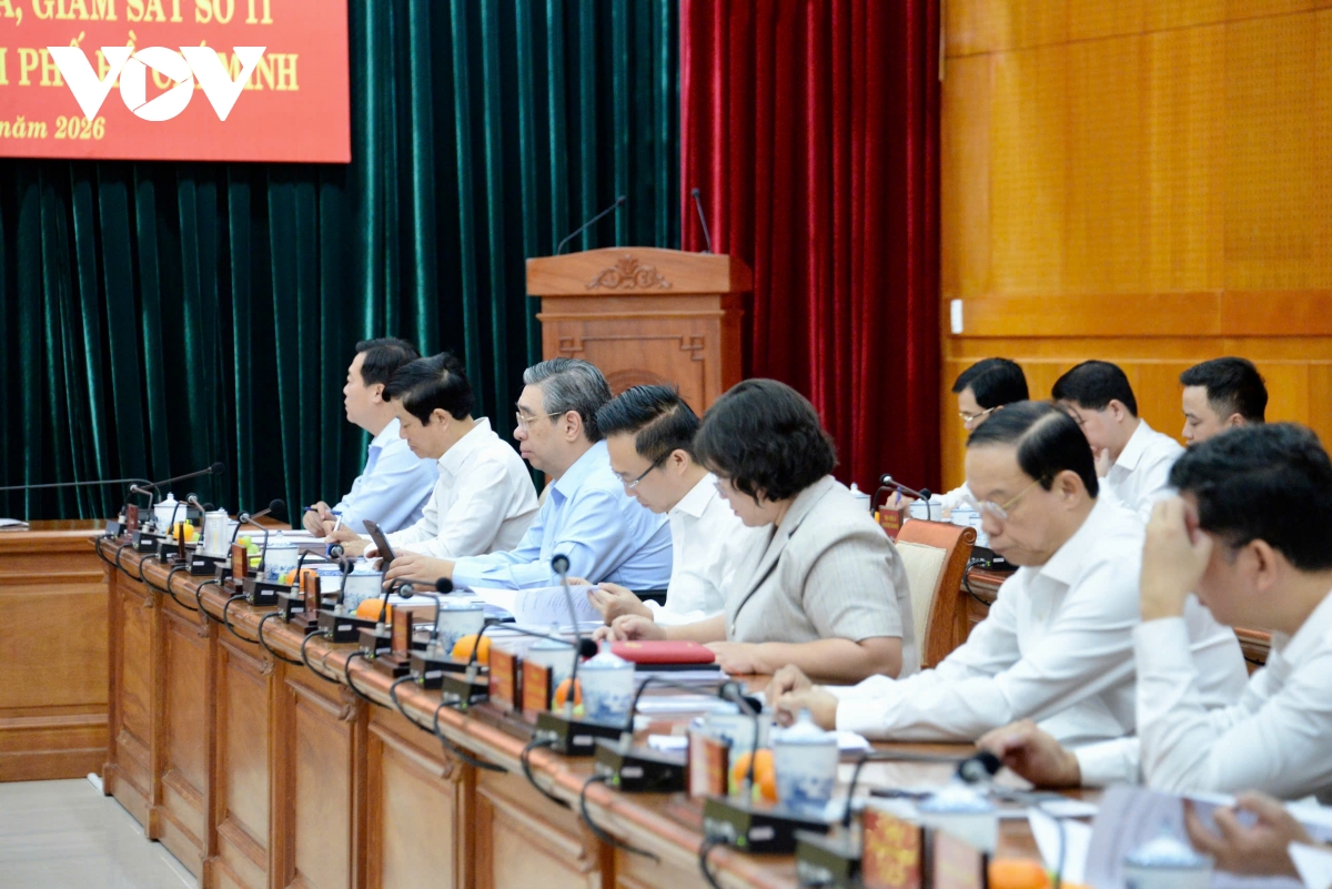 thong qua bao cao kiem tra, giam sat doi voi ban thuong vu thanh uy tp ho chi minh hinh anh 5