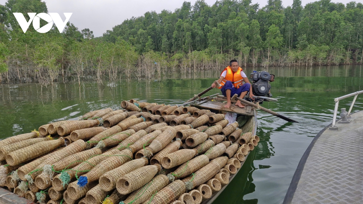 chung tay vi cuoc song binh yen song nuoc tren ho thac ba lao cai hinh anh 6