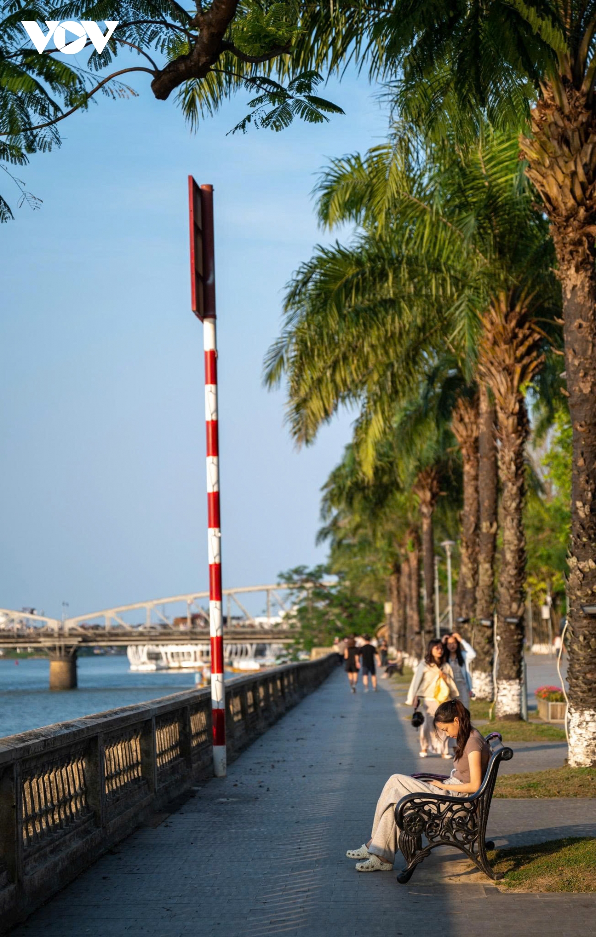 kham pha hue mua dep nhat trong nam diu mat, nen tho va day cam hung hinh anh 3