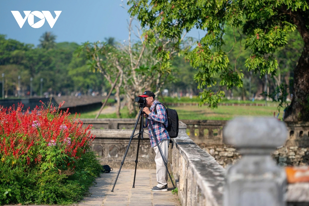 kham pha hue mua dep nhat trong nam diu mat, nen tho va day cam hung hinh anh 13