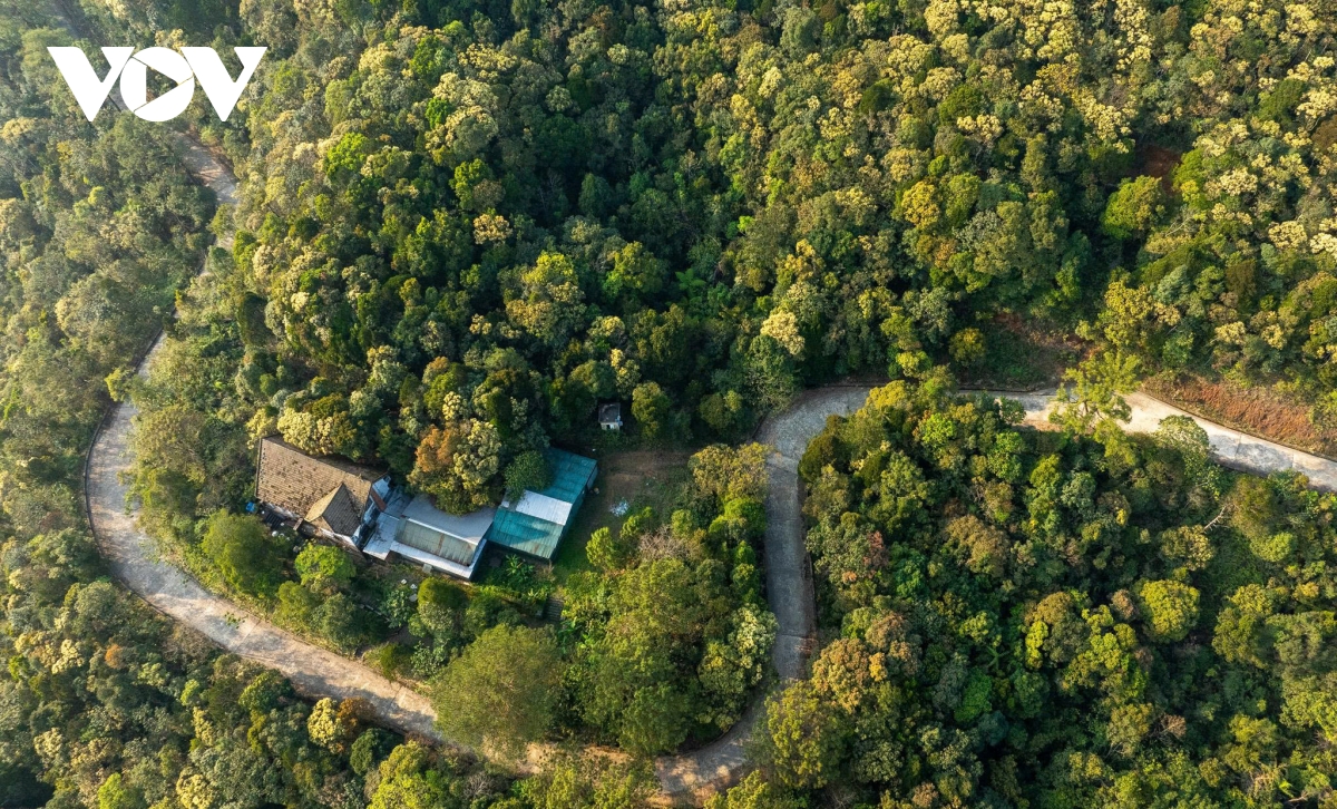 kham pha hue mua dep nhat trong nam diu mat, nen tho va day cam hung hinh anh 15