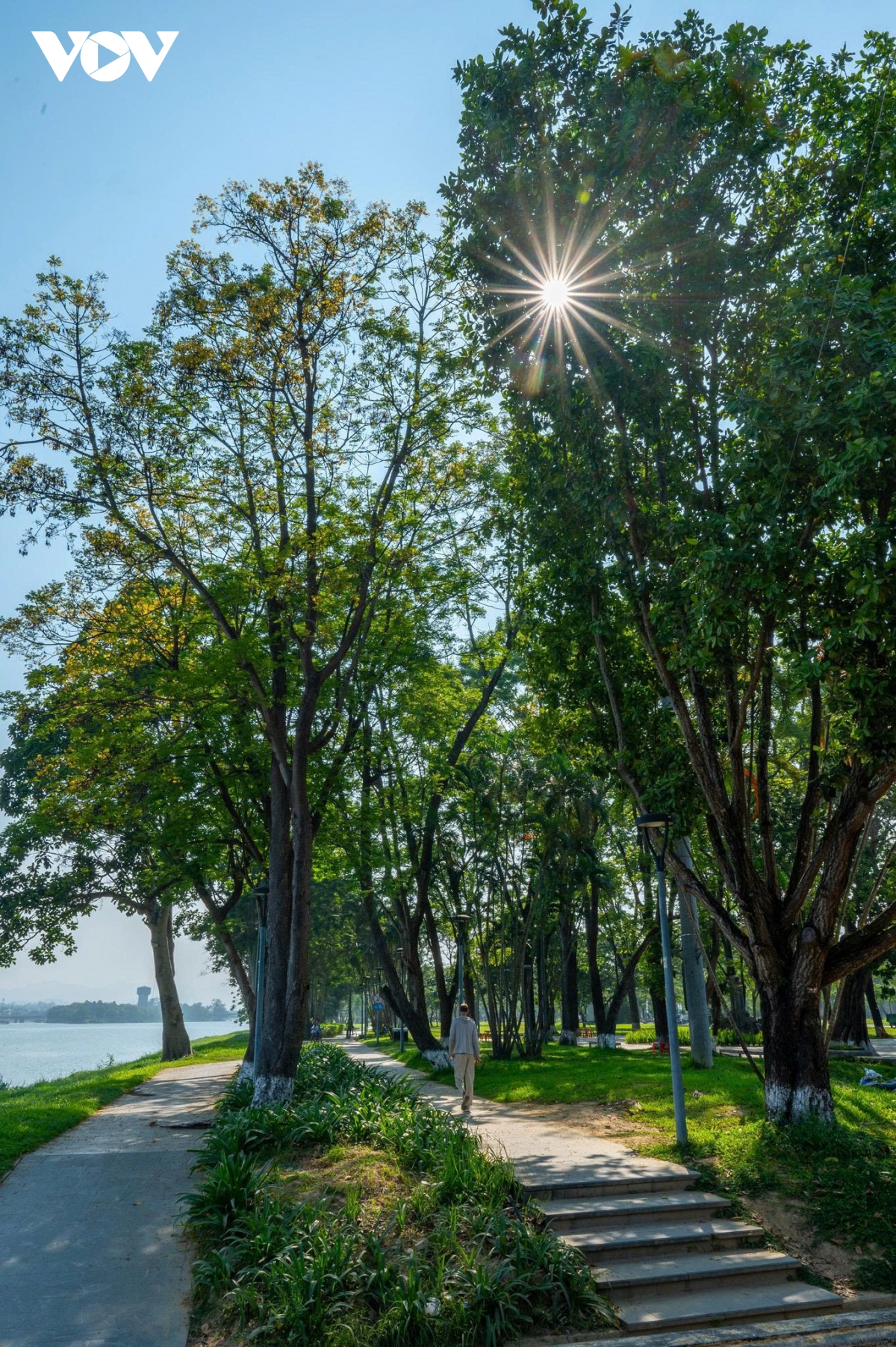 kham pha hue mua dep nhat trong nam diu mat, nen tho va day cam hung hinh anh 4