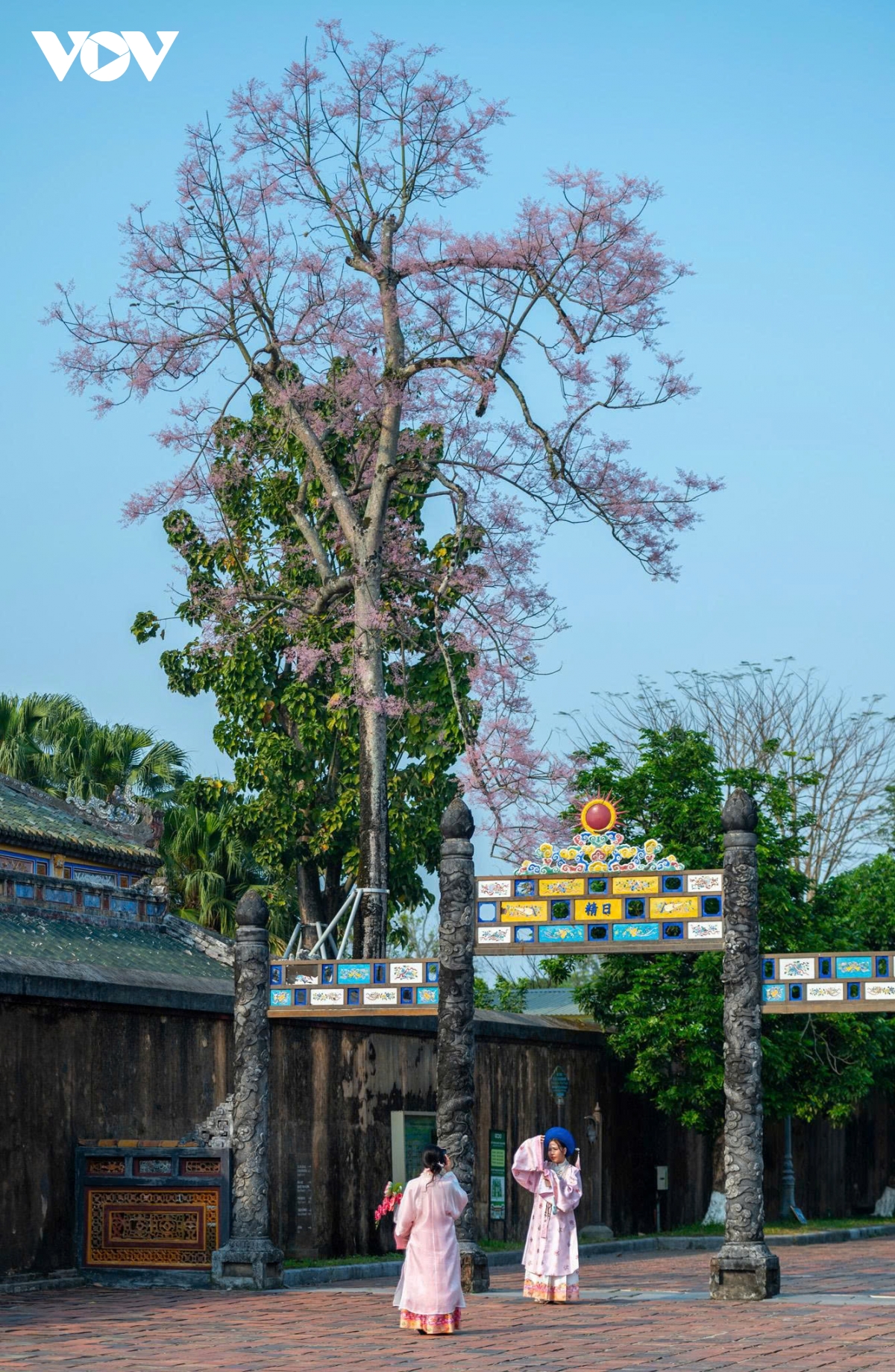 kham pha hue mua dep nhat trong nam diu mat, nen tho va day cam hung hinh anh 7