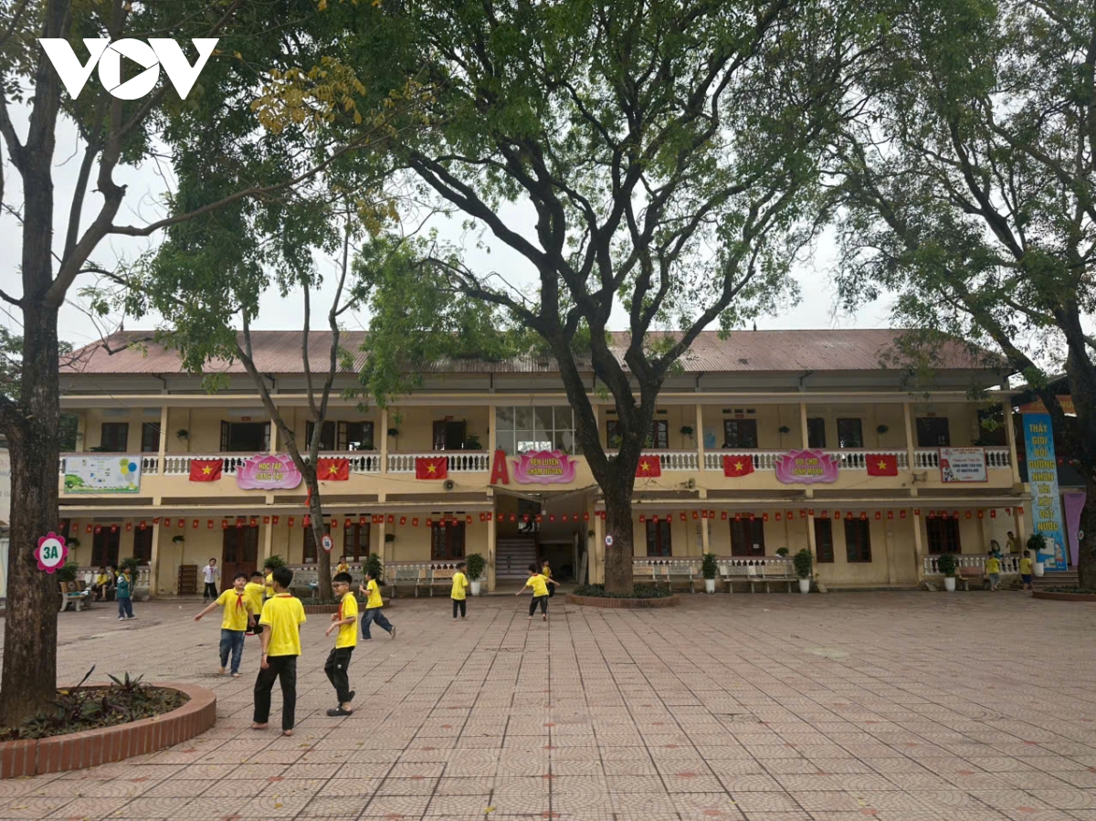 vu tieu thu gan 300 tan thit lon nhiem benh, nhieu truong hoc o bac ninh noi gi hinh anh 1