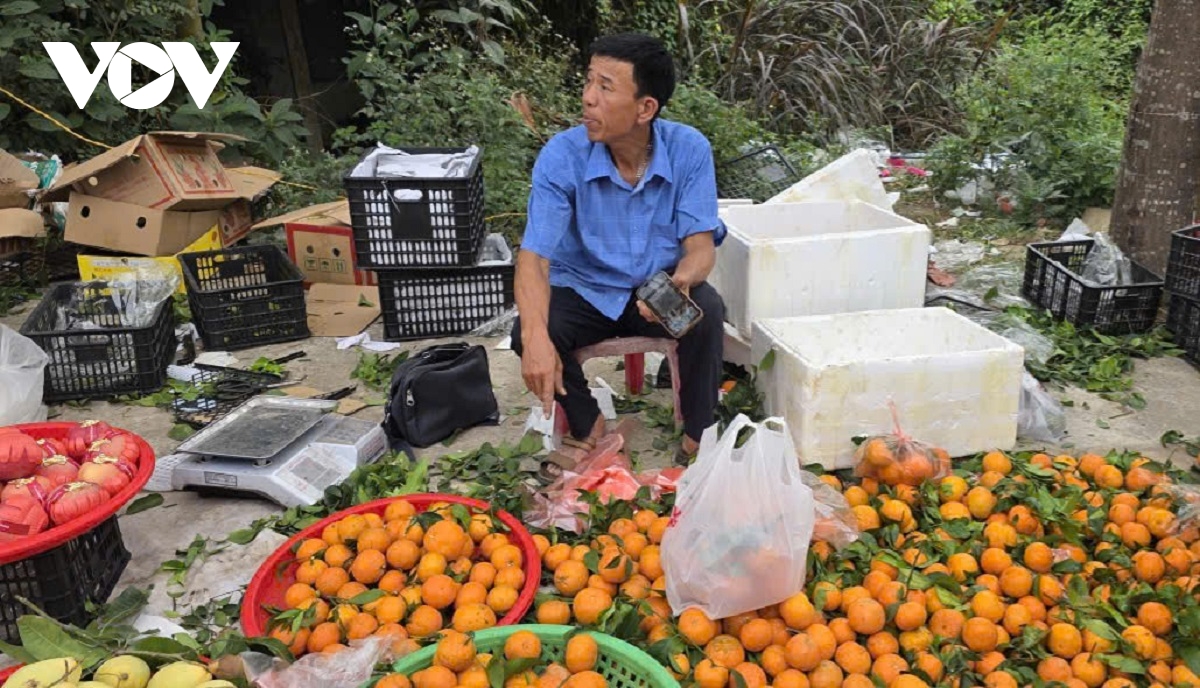 nhieu mat hang tang gia tu tui nilon tro di, cho que ninh binh vang nguoi mua hinh anh 2