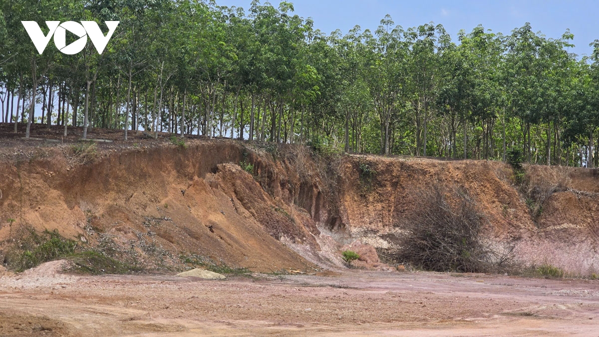 vu khoet dat gay sat lo o Dong nai chua the xac dinh khoi luong dat di doi hinh anh 2