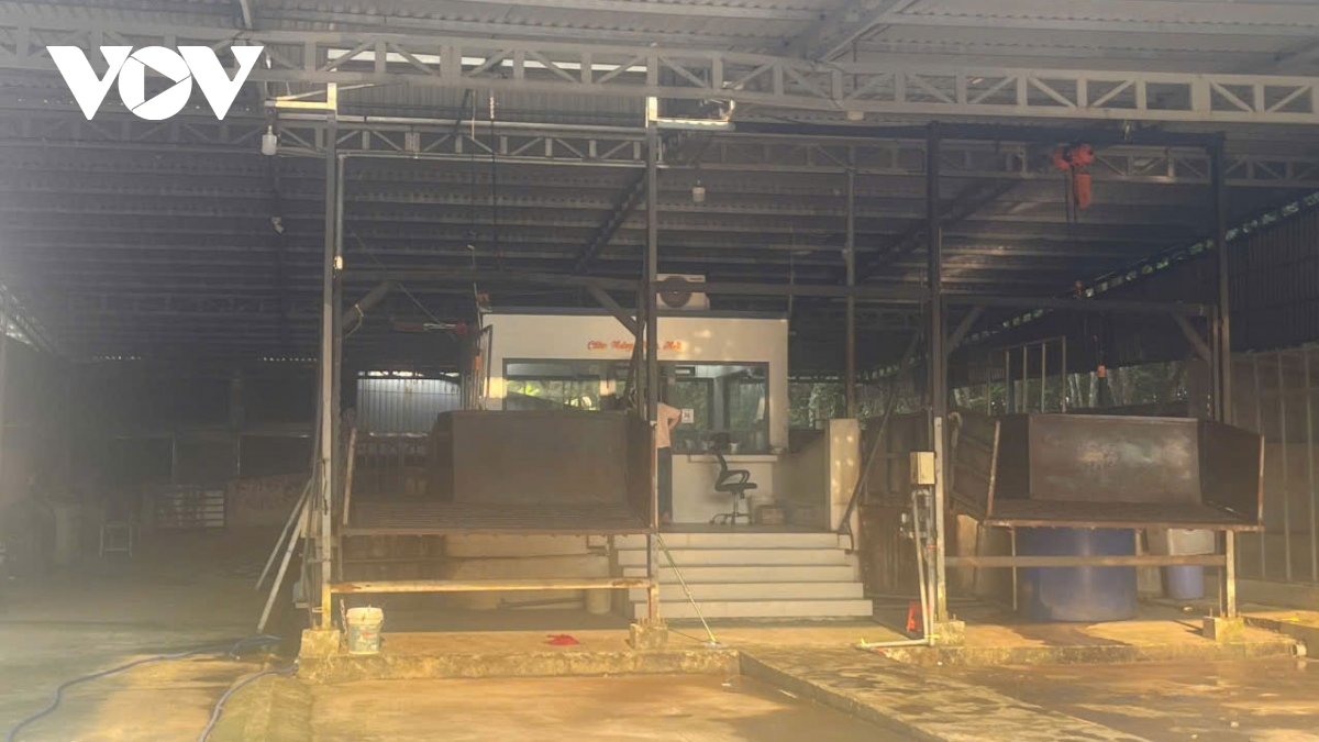 kiem tra diem tap ket heo o tp.hcm, quyet chan thit ban hinh anh 2