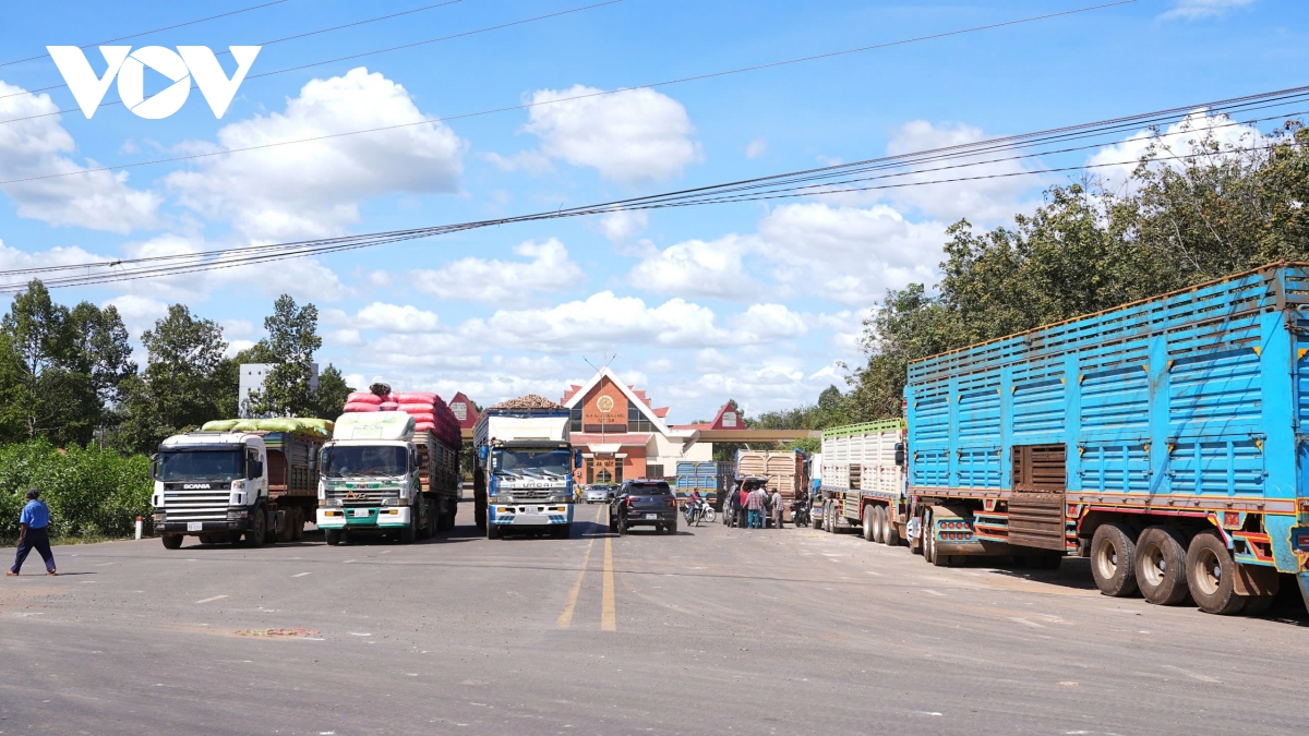 tu giam thue den go ach tac, chinh sach ho tro doanh nghiep phat huy hieu qua hinh anh 3