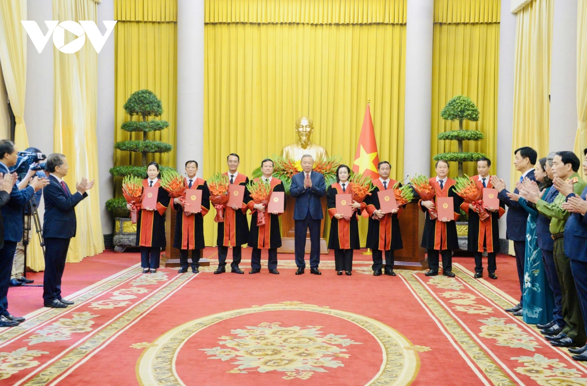 tong bi thu, chu tich nuoc to lam trao quyet dinh bo nhiem tham phan tand toi cao hinh anh 4