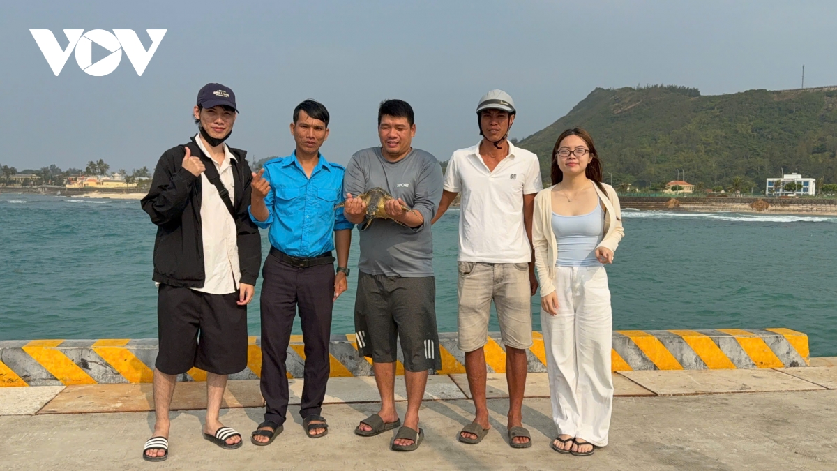 tha rua bien quy hiem mac luoi ma tro ve dai duong hinh anh 1