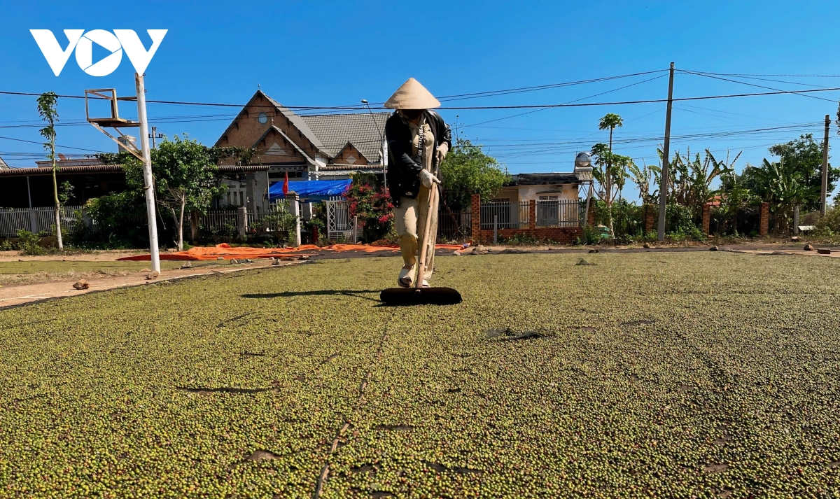 canh bao bay hop dong xuat khau khi doi tac ngoai co tinh cau gio de ep gia hinh anh 2