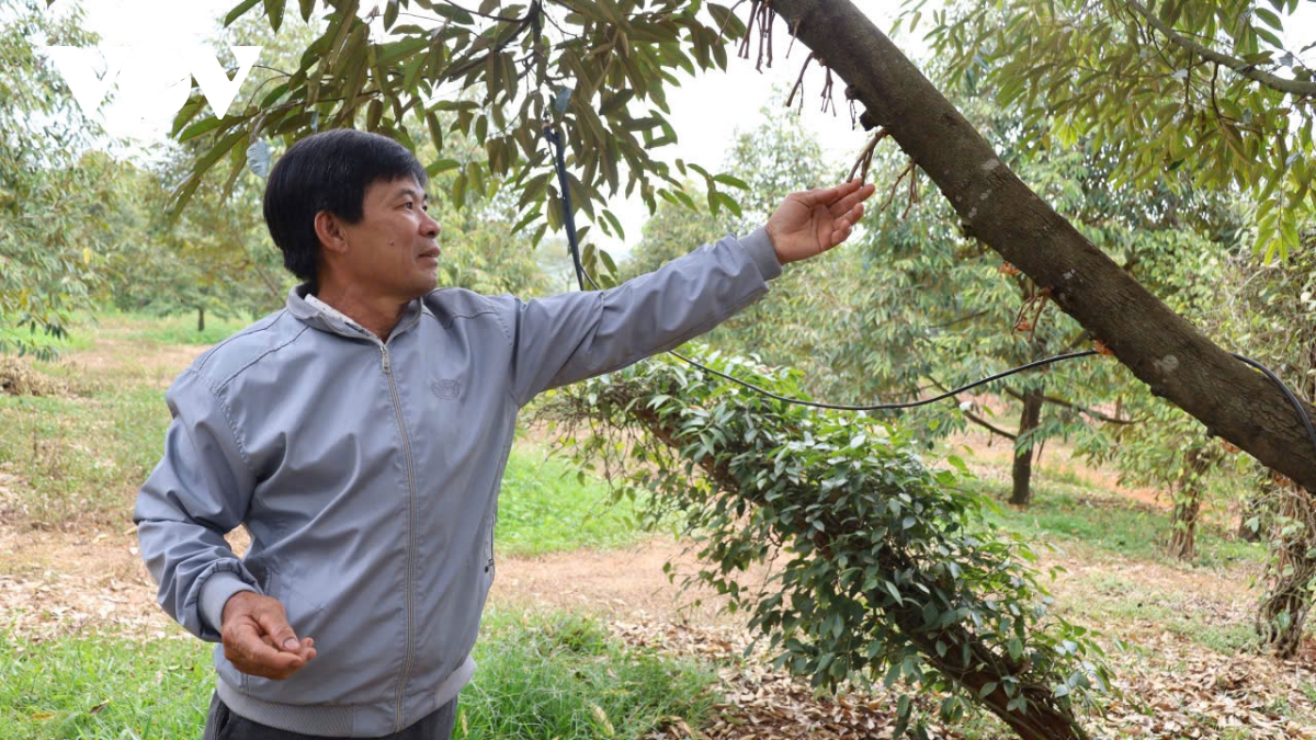 ho Darana Dong nai xay xong 4 nam van tro day, dan do mat cho nuoc tuoi hinh anh 4