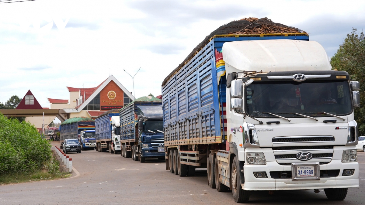 tam dung nghi dinh 46, doanh nghiep cho sua luat theo huong nao hinh anh 1